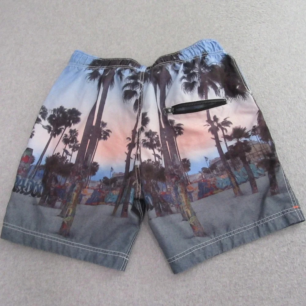 Page One Mens Board Shorts L Cityscape Santa Monica Venice All Over